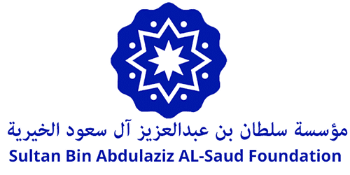 Strategic Sponsor